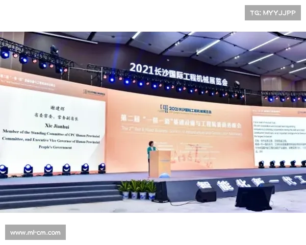 高原地区社工服务成功的关键因素与创新实践探索 高原地区社工服务成功的关键因素与创新实践探索