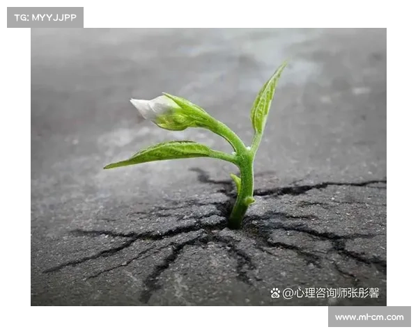 如何从心理学角度分析顽固敌人的心态与制定有效应对策略 如何从心理学角度分析顽固敌人的心态与制定有效应对策略